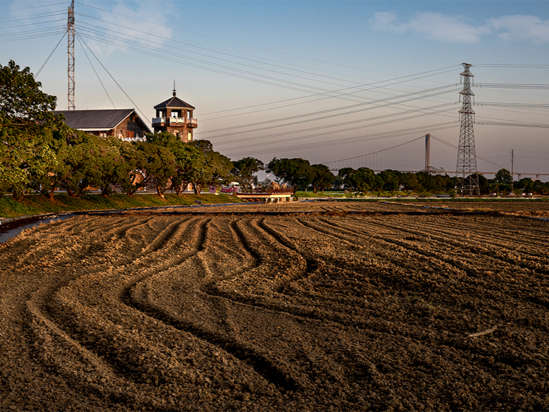 土壤重金属 土壤重金属