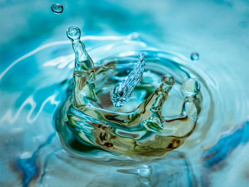 水质生物毒性检测 水质生物毒性检测