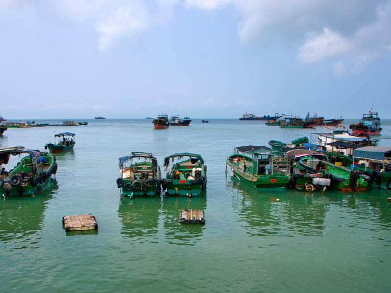 【对比】荧光法与膜法(极谱法)溶解氧分析仪区别